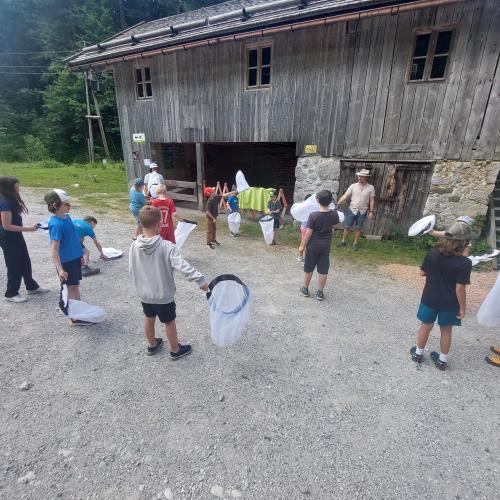 Wildbestäuber