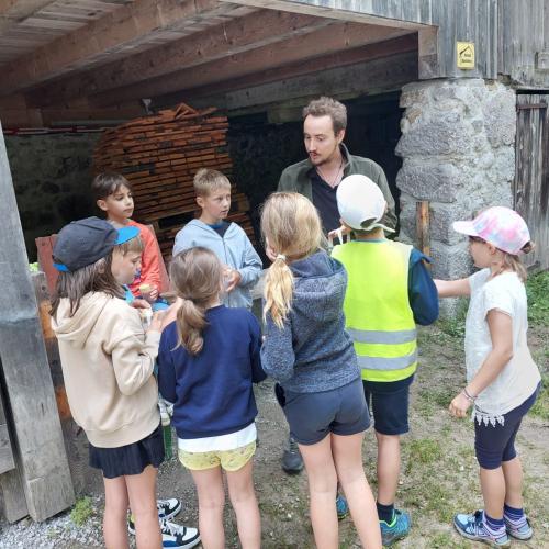 Bild 4