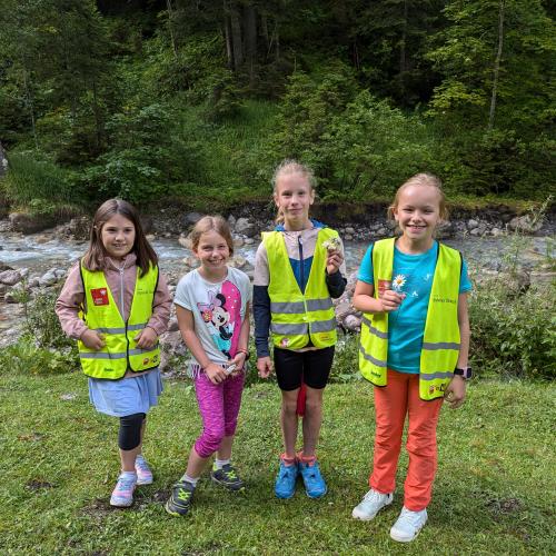 Bild 6