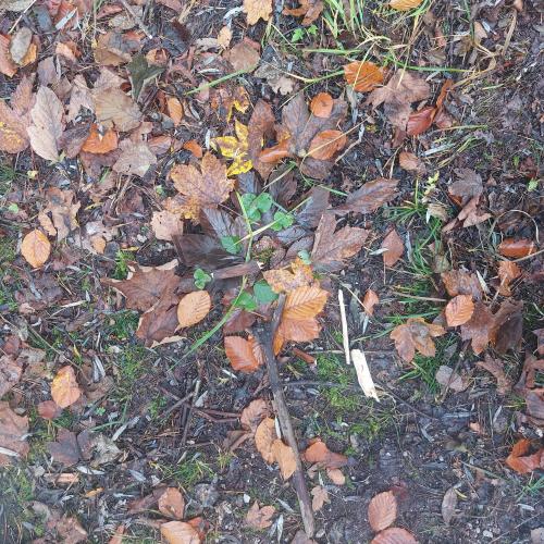 Landart