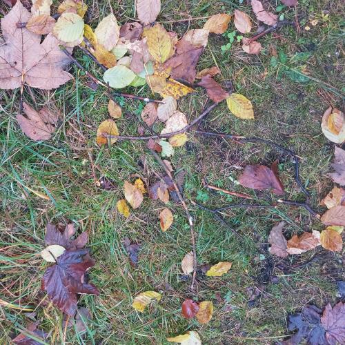 Landart