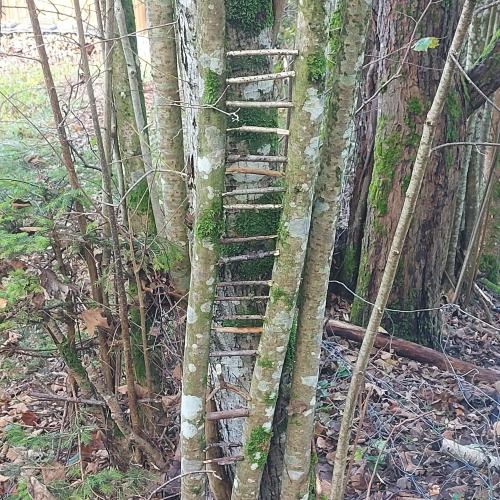 Landart