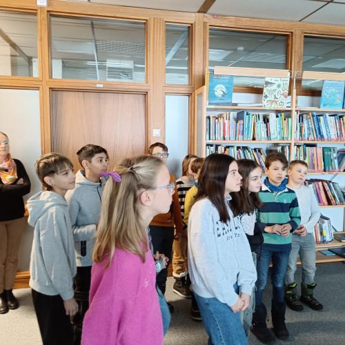 Mittelschulen
