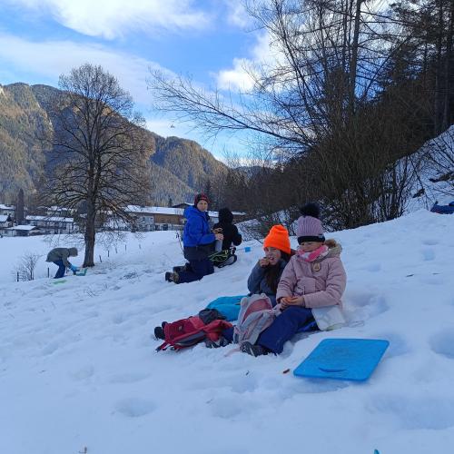 Natopia Winter