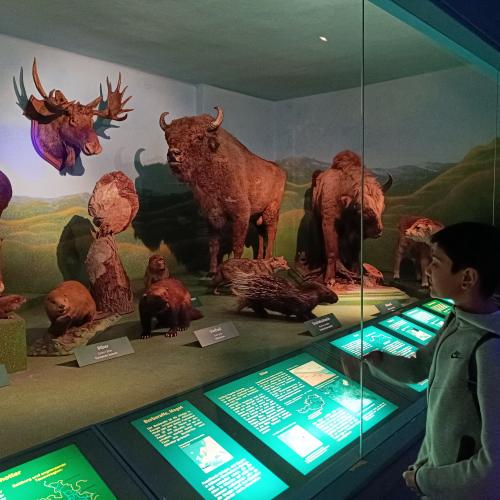 Haus der Natur