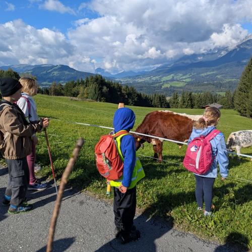 Wandertag Hochfeld6