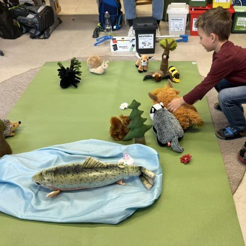 Müll entfernen und Tiere retten 4