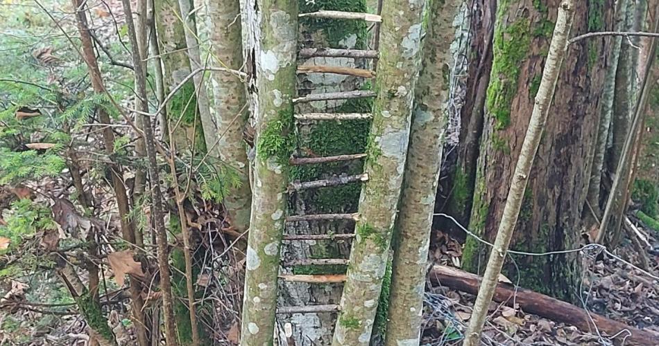 Landart