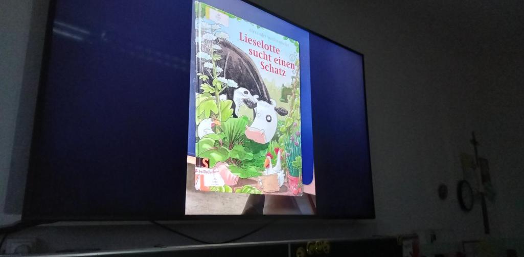 Buch Buch Lieselotte